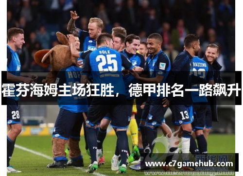 霍芬海姆主场狂胜，德甲排名一路飙升