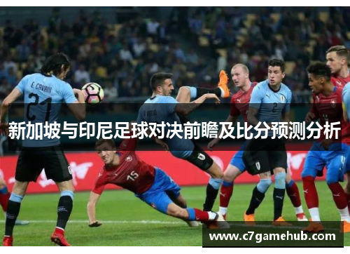 新加坡与印尼足球对决前瞻及比分预测分析